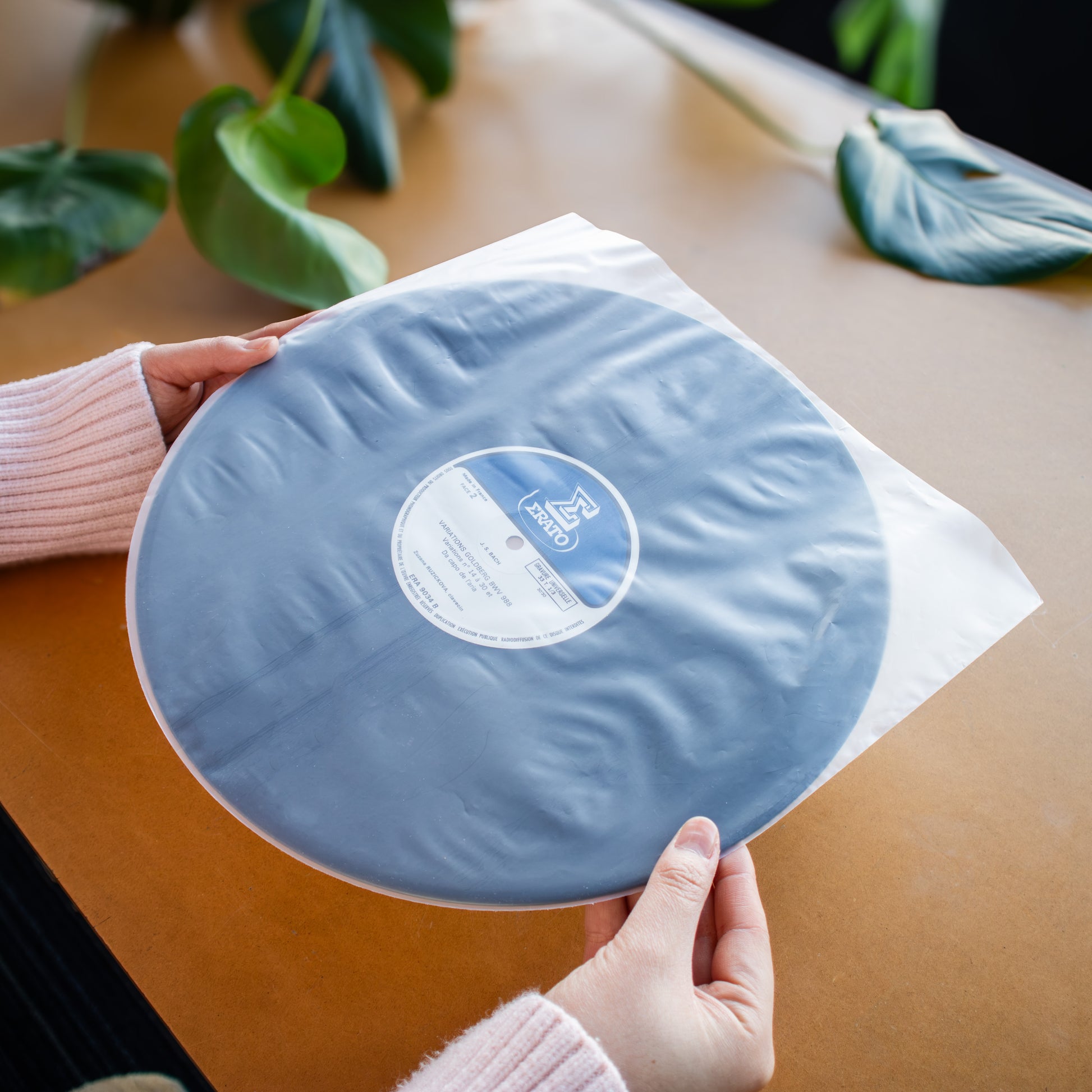 A person holds a round light blue vinyl record partially wrapped in a clear protective sleeve on a wooden table with green leaves in the background.