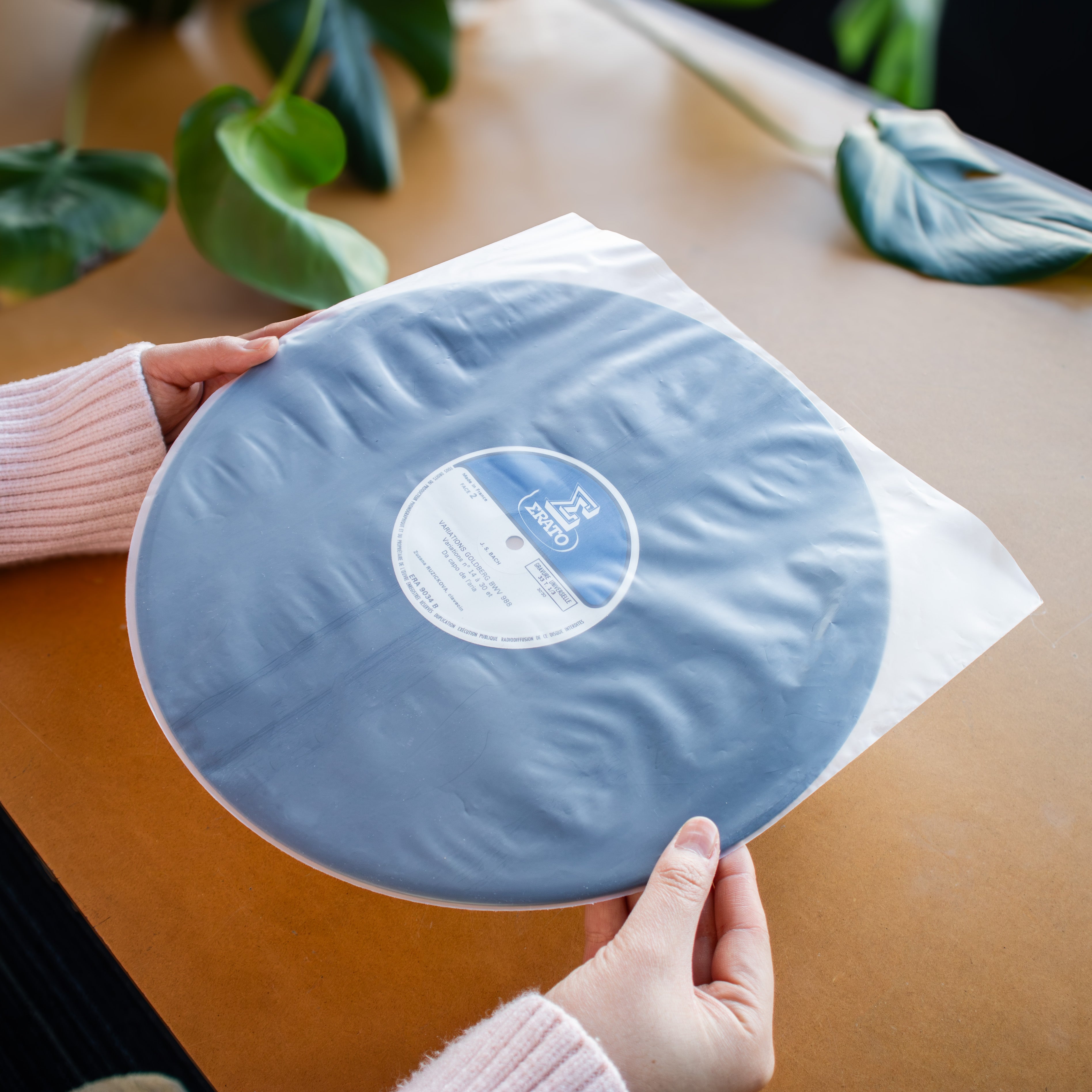 A person holds a round light blue vinyl record partially wrapped in a clear protective sleeve on a wooden table with green leaves in the background.