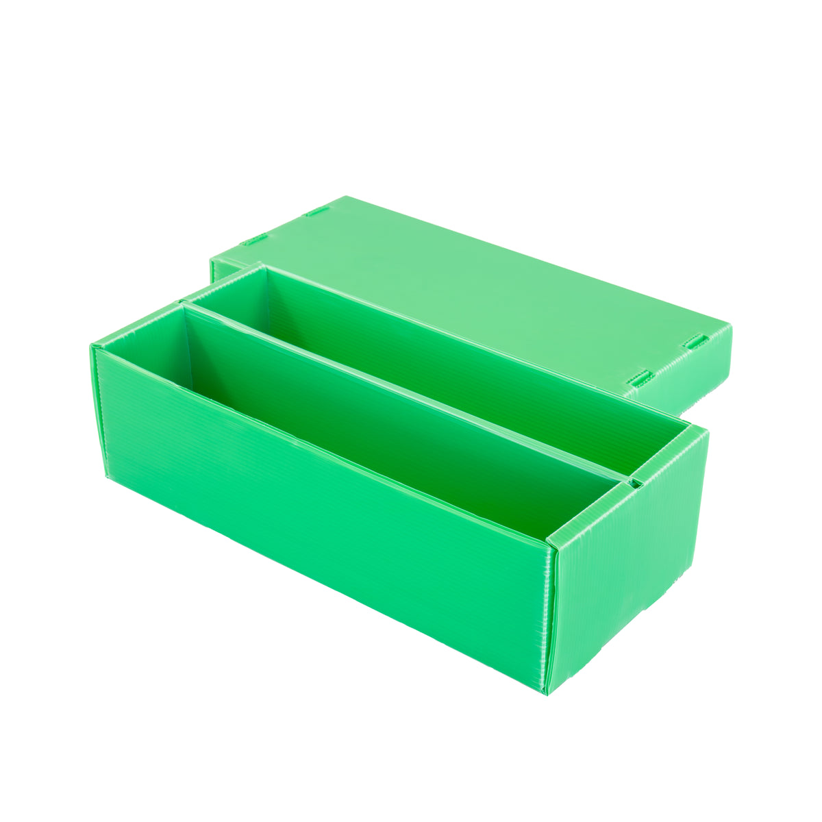 2-Row Standard Card Storage Box