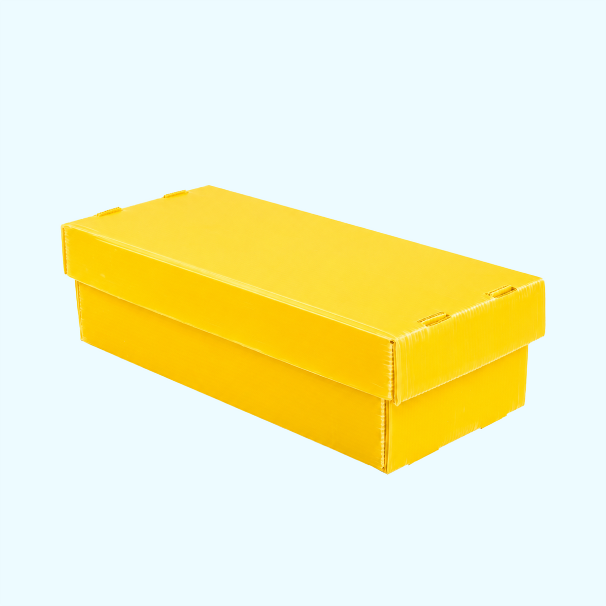 2-Row Toploader Card Storage Box for storing toploader-protected trading cards