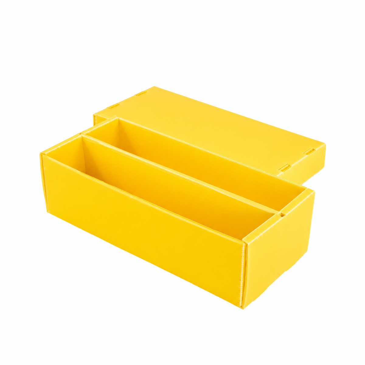 2-Row Toploader Card Storage Box for storing toploader-protected trading cards