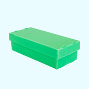 2-Row Standard Card Storage Box