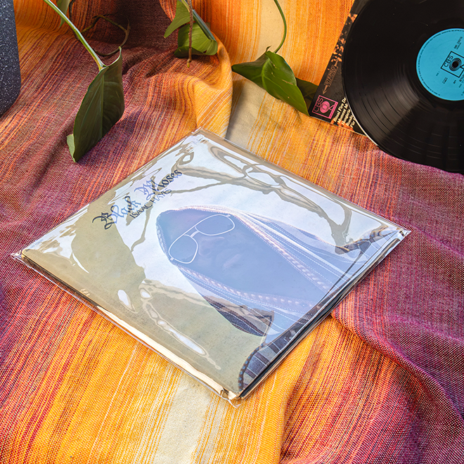 Mylux Vault Mylar 12" Vinyl Record Outer Sleeves – Resealable