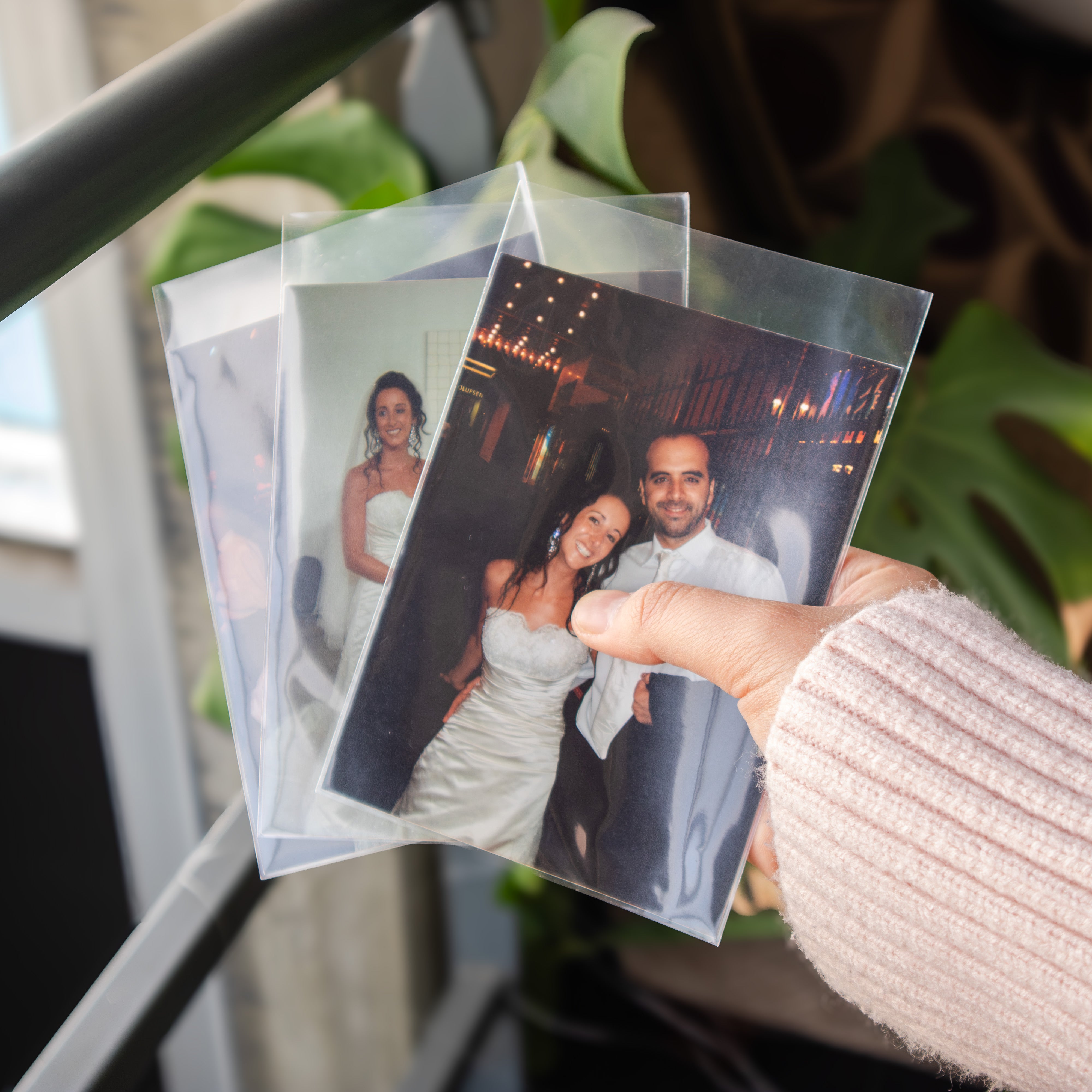 A hand wearing a light pink ribbed sweater holds three clear plastic photo albums or sleeves containing printed photographs, with a blurred indoor background featuring green leaves and a dark railing.