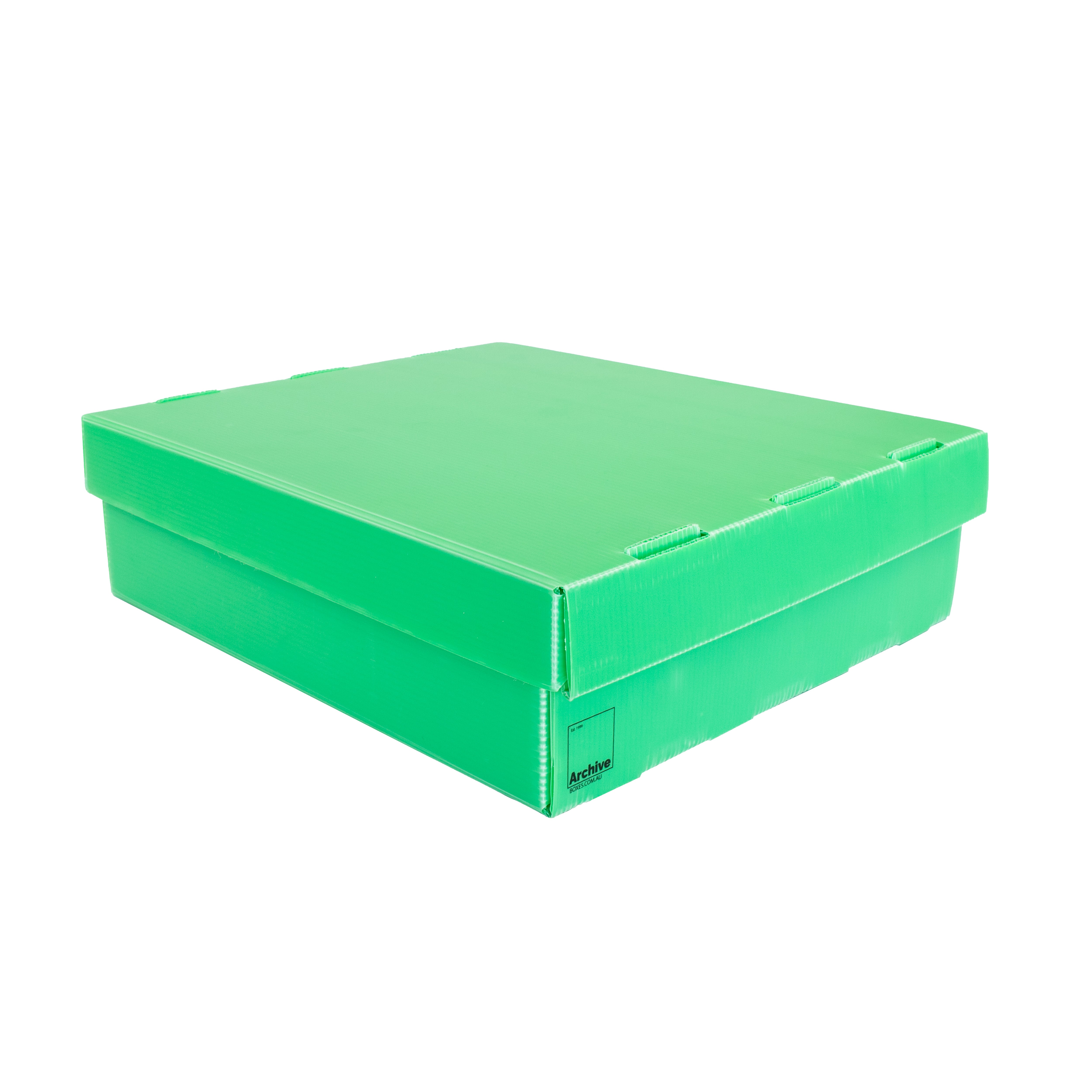 4-Row Toploader Card Storage Box