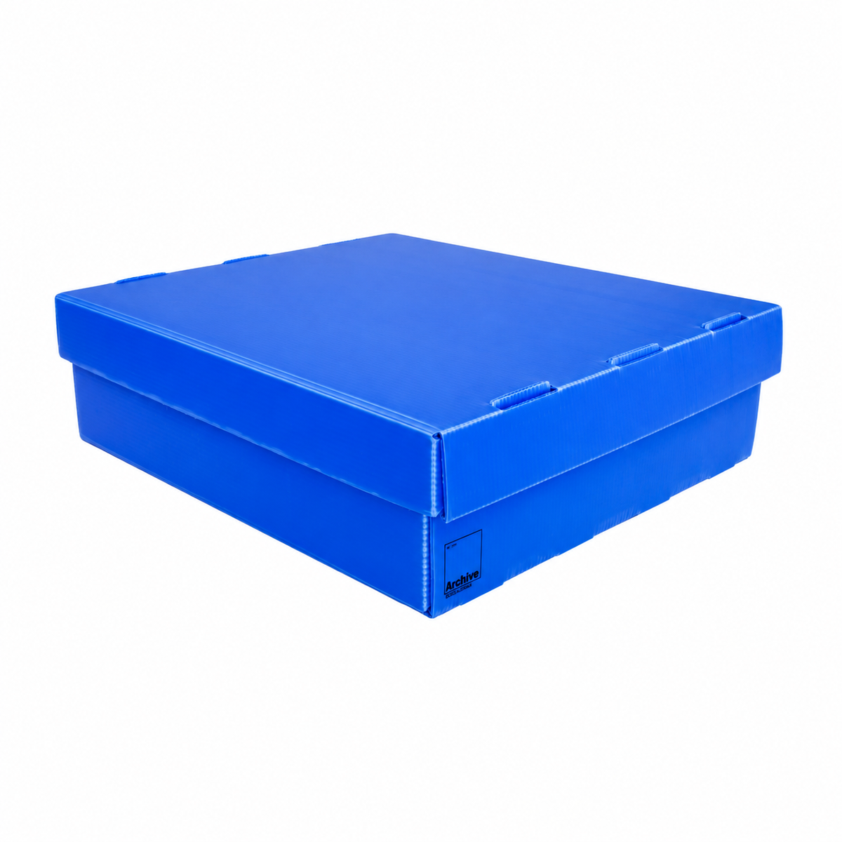 4-Row Toploader Card Storage Box