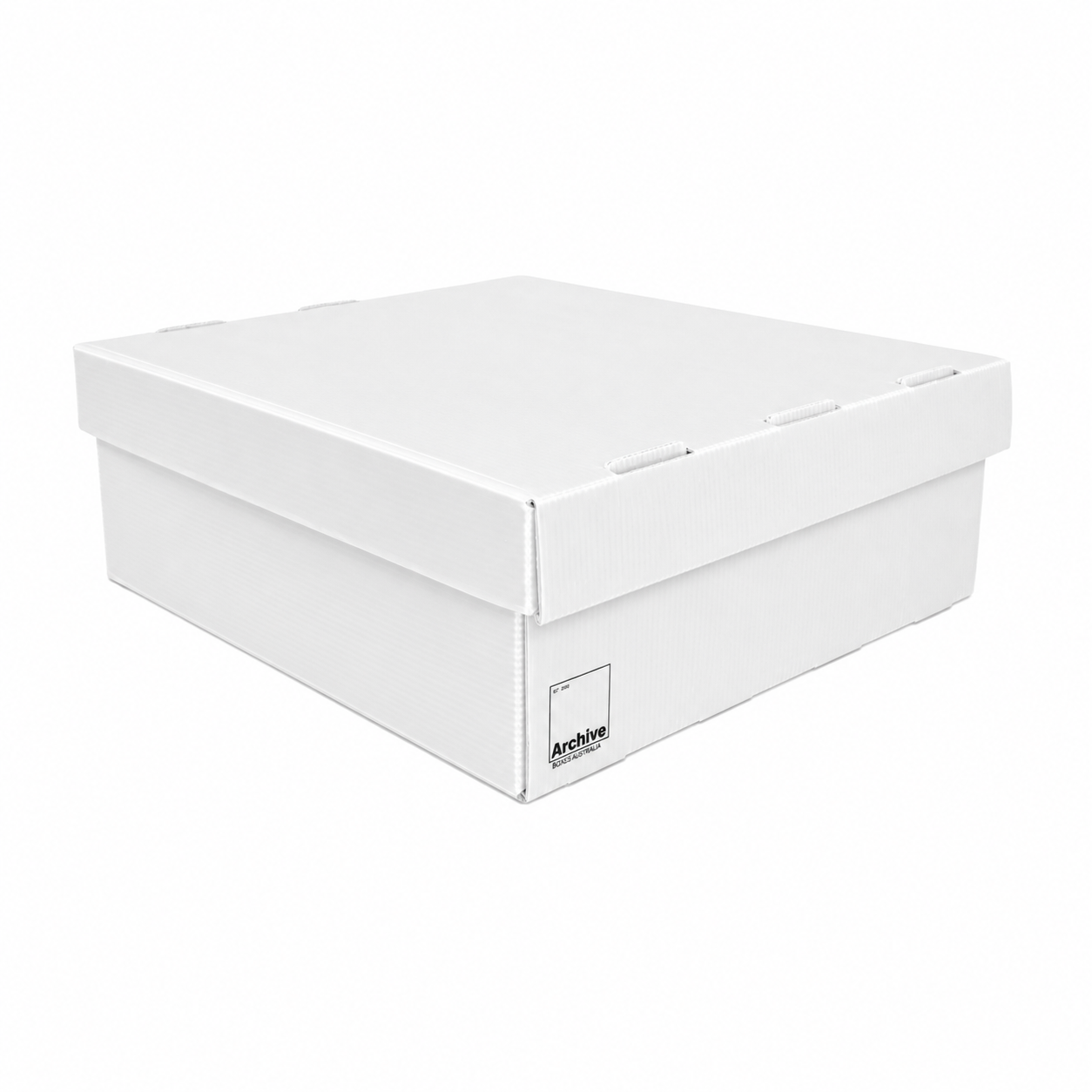 4-Row Toploader Card Storage Box
