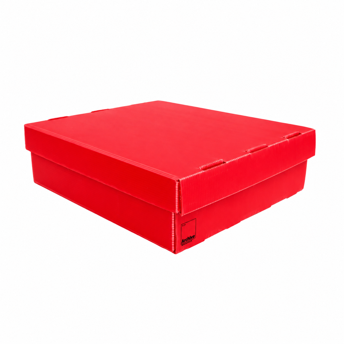 4-Row Toploader Card Storage Box