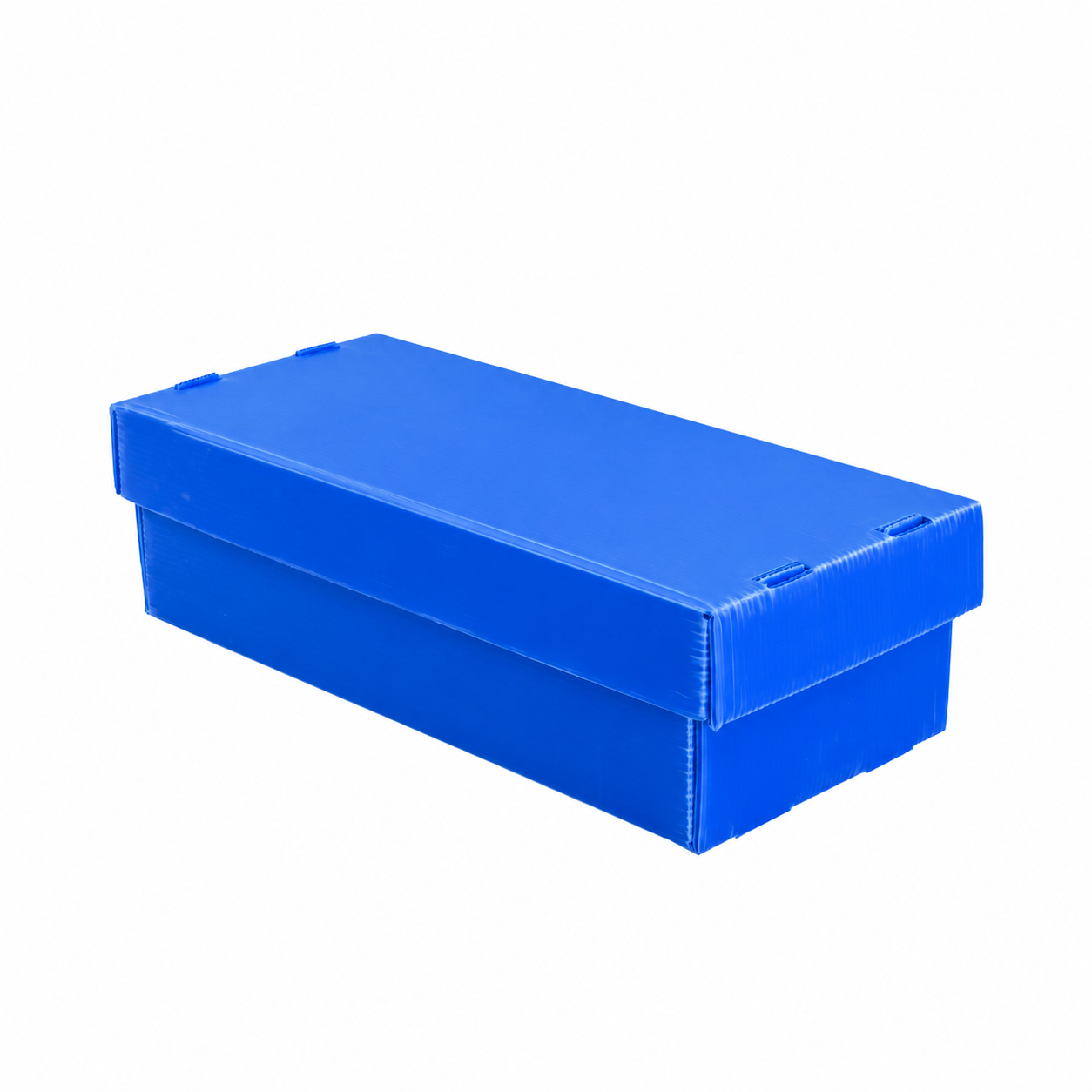 2-Row Toploader Card Storage Box