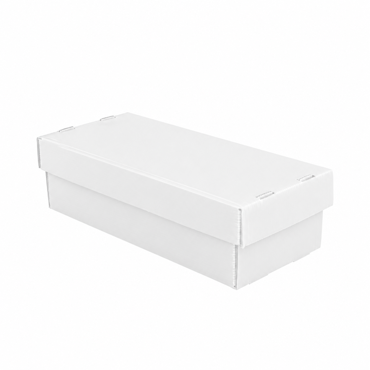 2-Row Toploader Card Storage Box