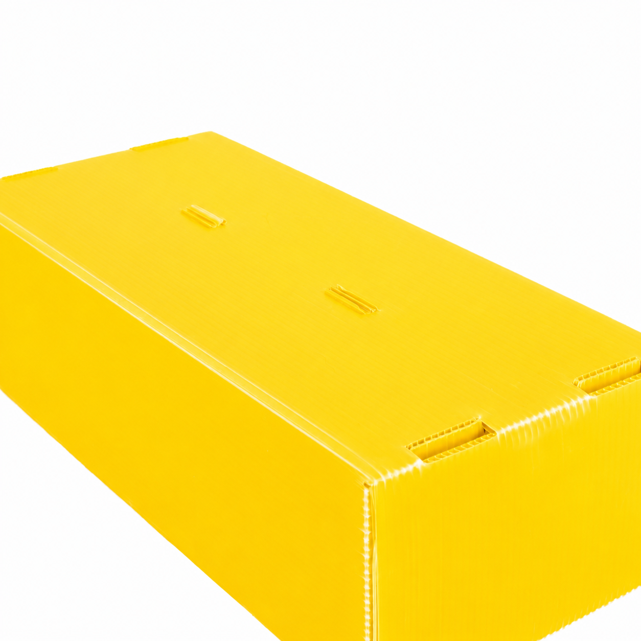 2-Row Toploader Card Storage Box