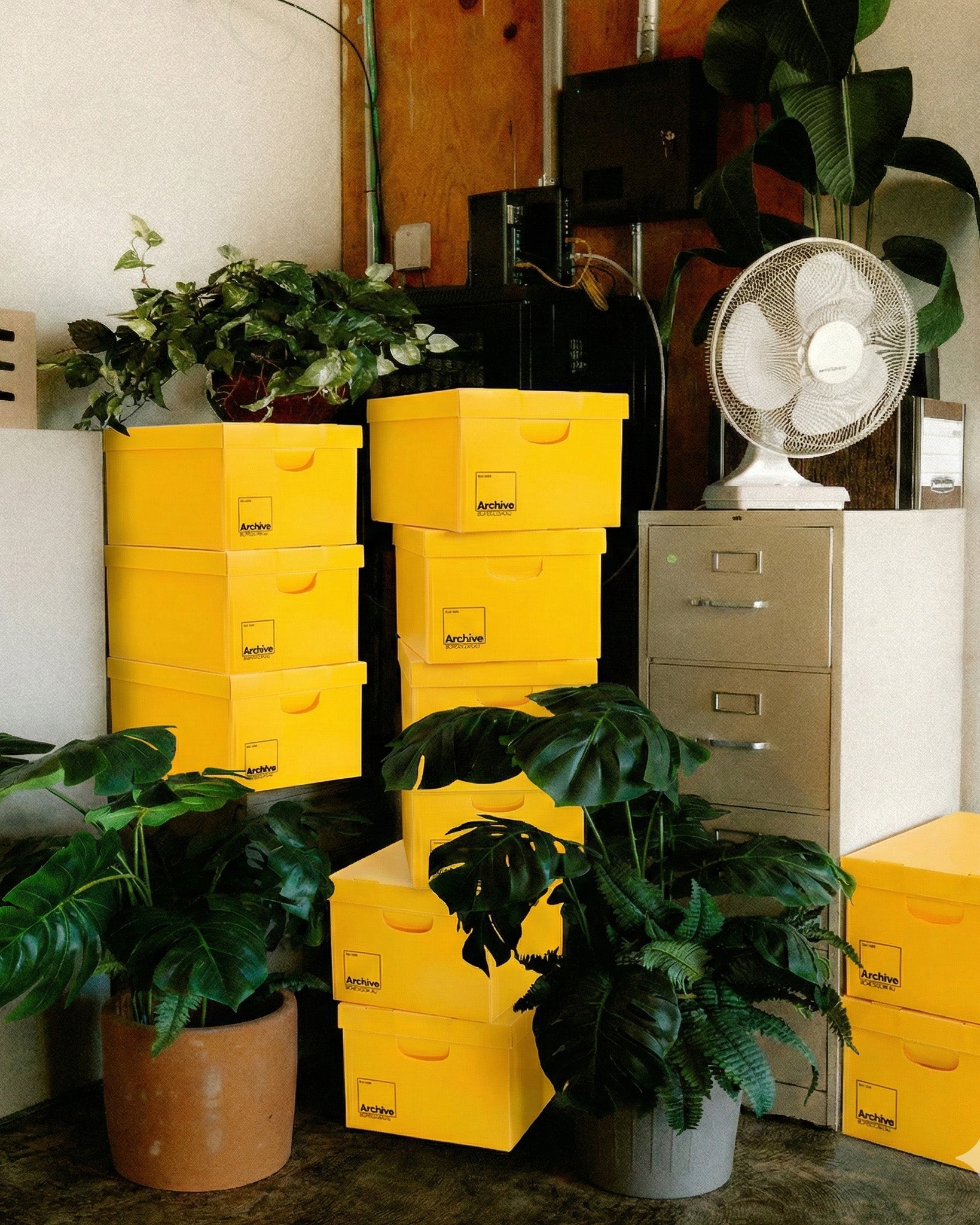 Archive Boxes Australia