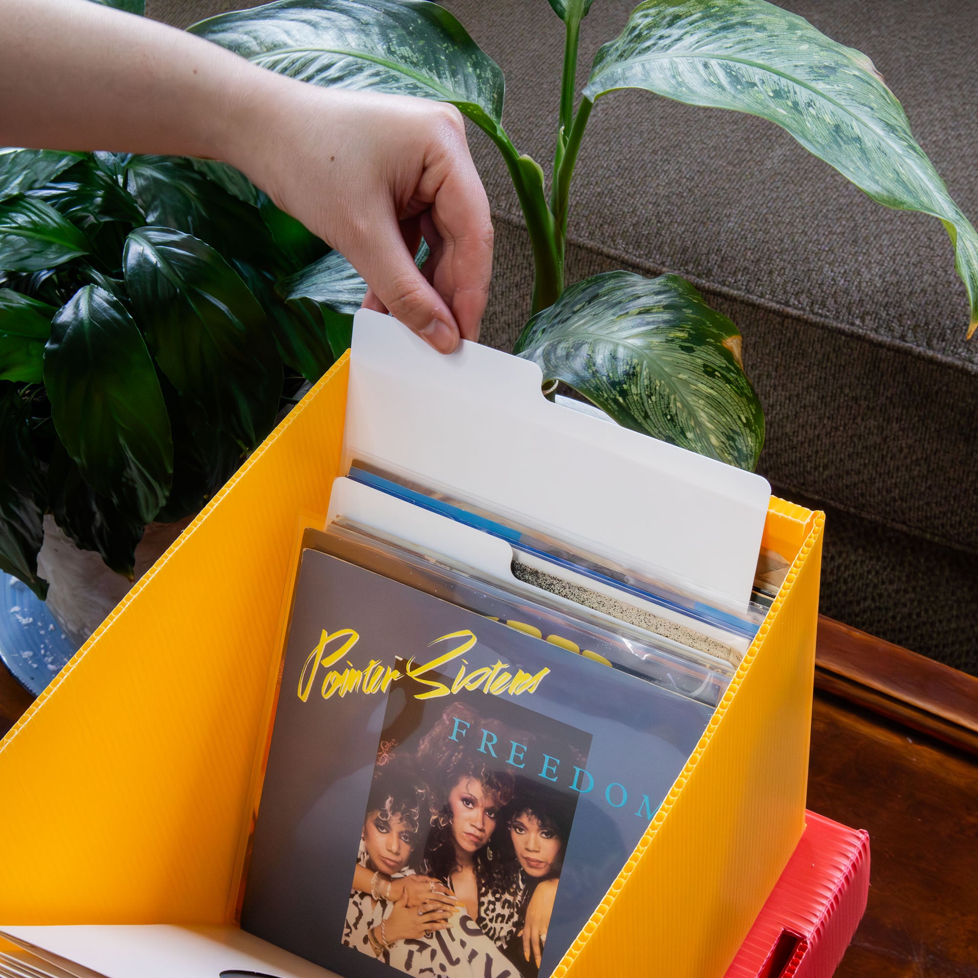 7"/ 45 RPM Vinyl Record Dividers 10 Pack