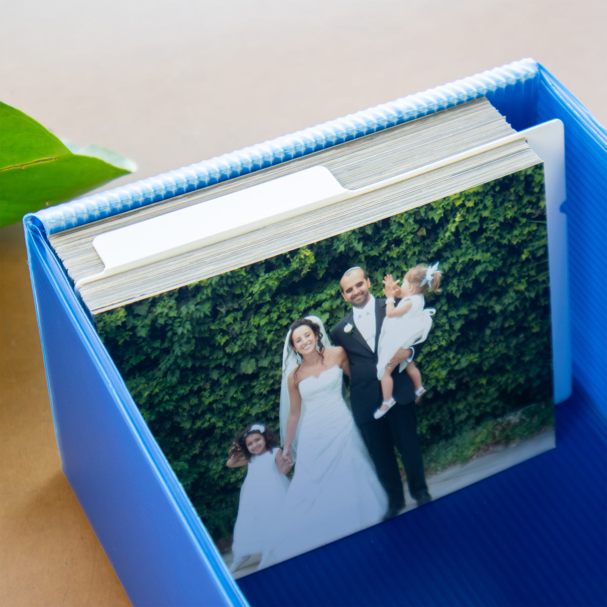 Photograph Dividers