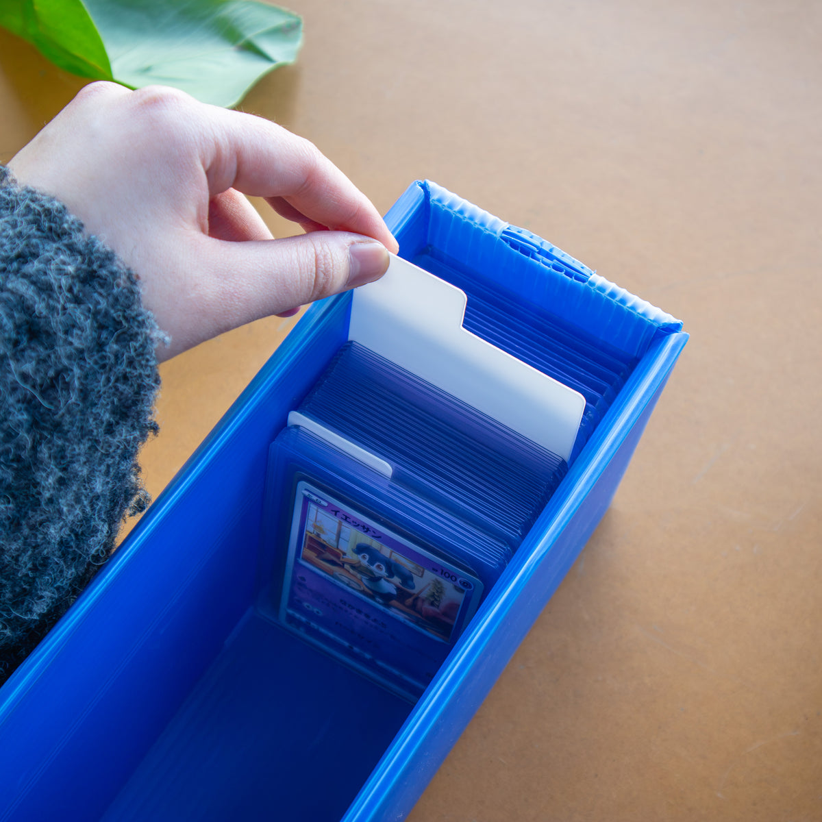 Toploader Card Dividers