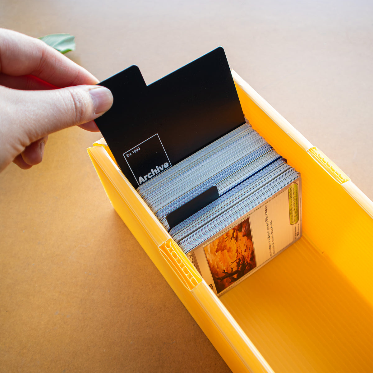 Standard Card Storage Box Dividers – Landscape