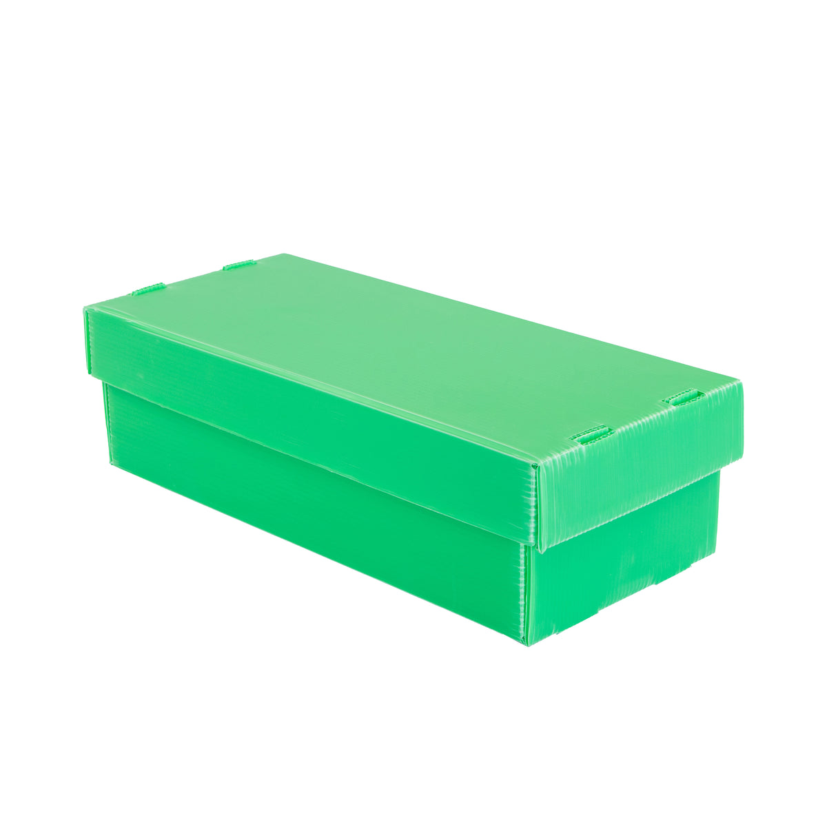 2-Row Toploader Card Storage Box