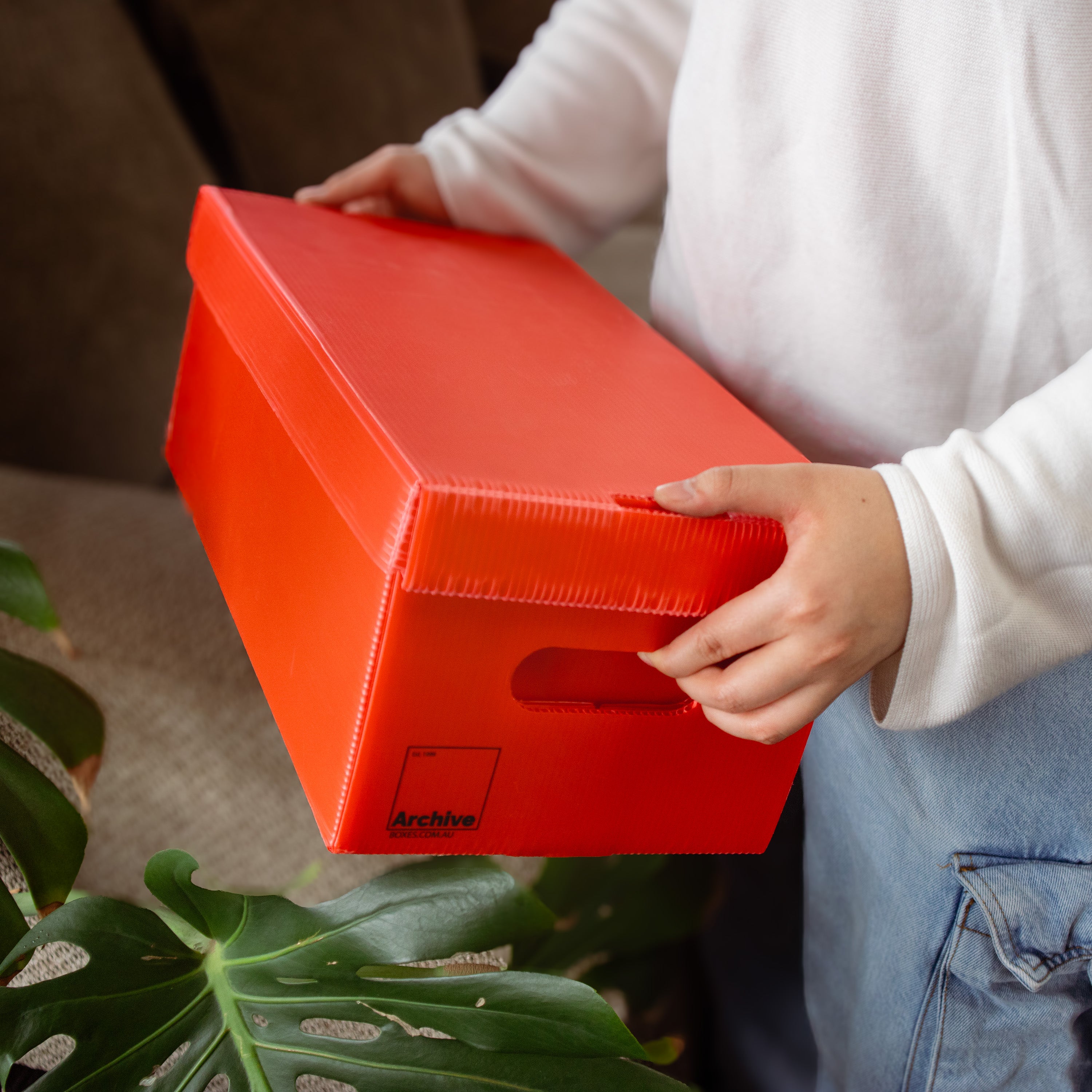 DVD Storage Box – close-up detail, DVD media storage