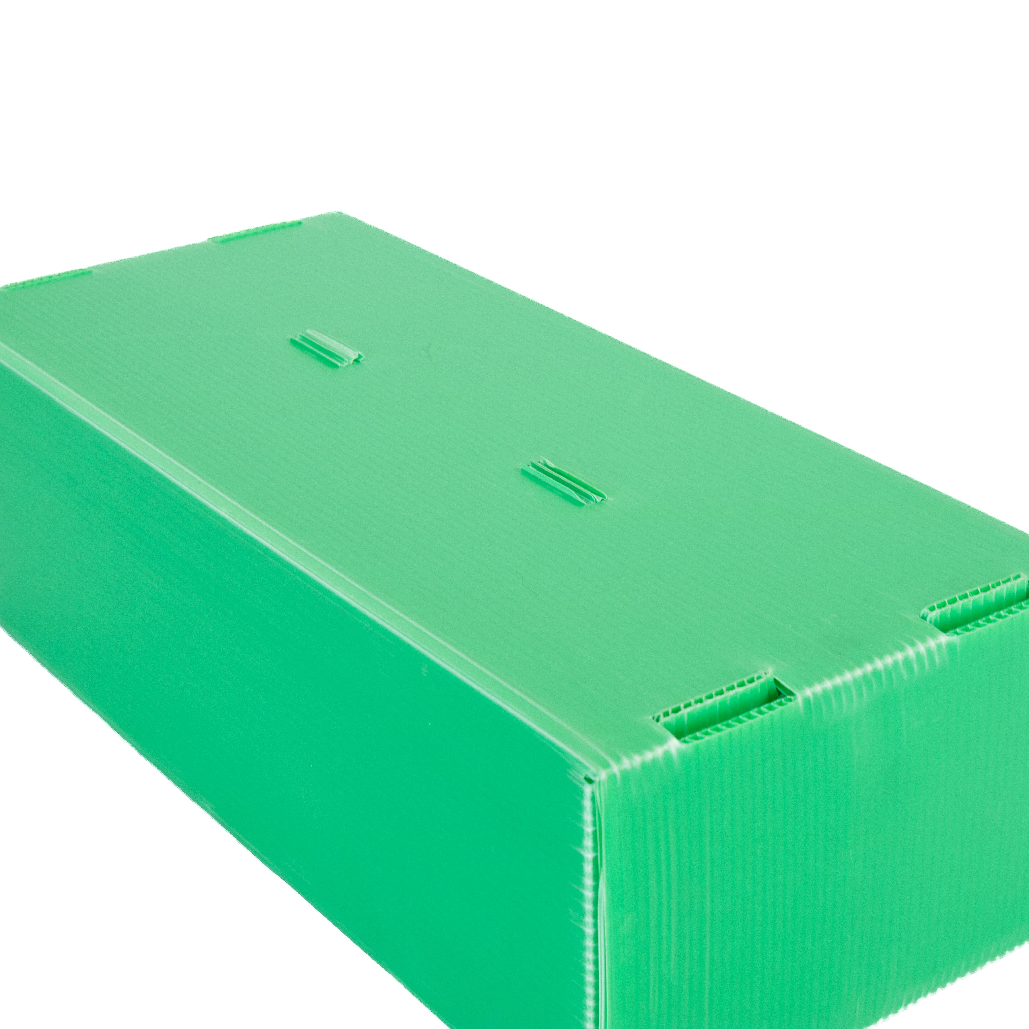 2-Row Standard Card Storage Box