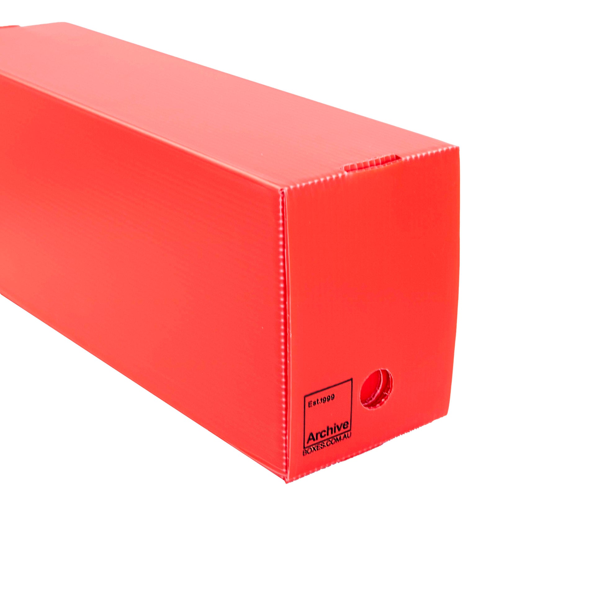 Semi-Rigid & Graded Card Storage Box – close-up detail, trading card protection
