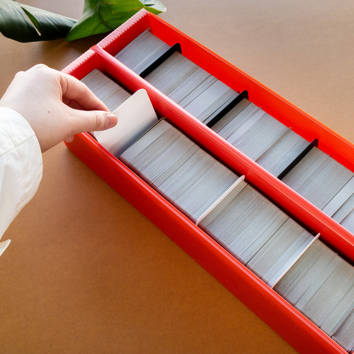 Standard Card Storage Box Dividers – Portrait | Card Protection Accessories