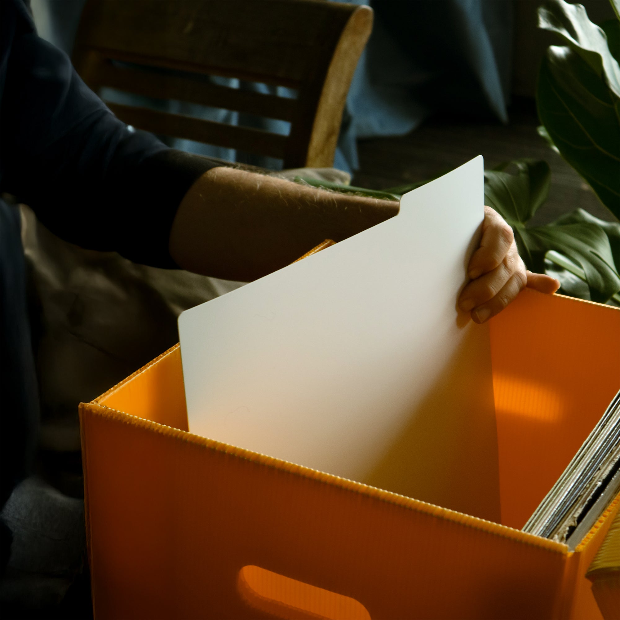 12" Vinyl Record Dividers 10 Pack